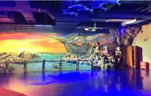 太奥幻太奇海洋馆