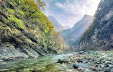 黑河国家森林公园