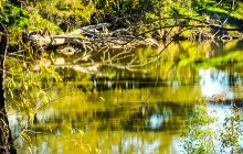 普洱国家公园犀牛坪景区