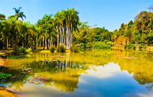 中科院西双版纳热带植物园