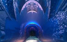 梦幻千岛湖·时光隧道