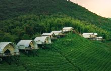 境见茶野里野奢帐篷露营地