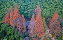 莫干山风景名胜区