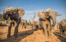 太湖龙之梦乐园