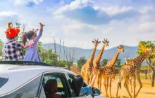 龙之梦动物世界