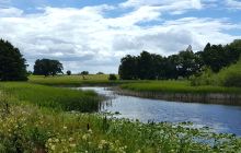 德清下渚湖湿地公园