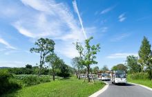 良渚古城遗址公园